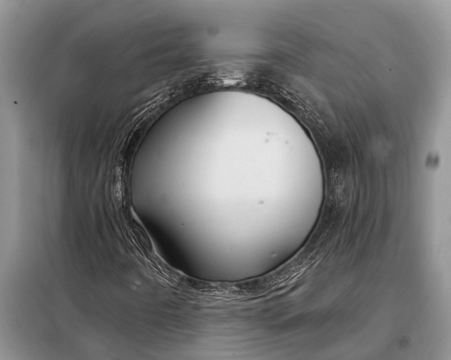 X0000097971442200804071045