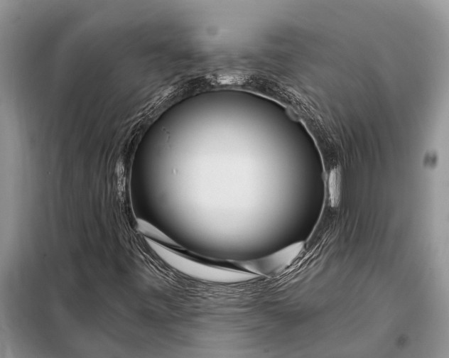 X0000097971443200804071045