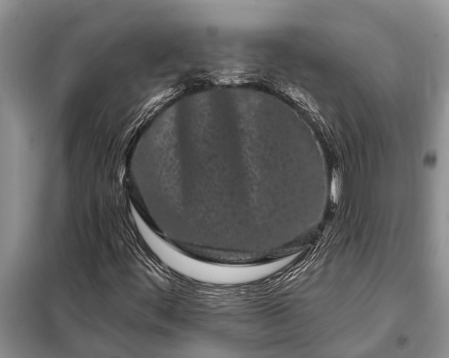 X0000097971444200804071045