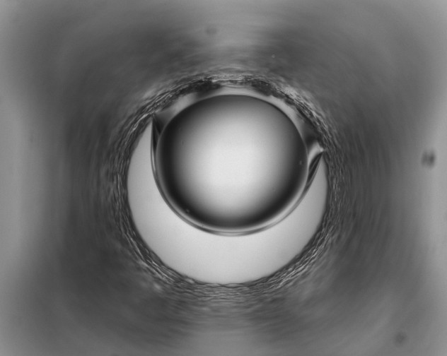 X0000097971445200804071045