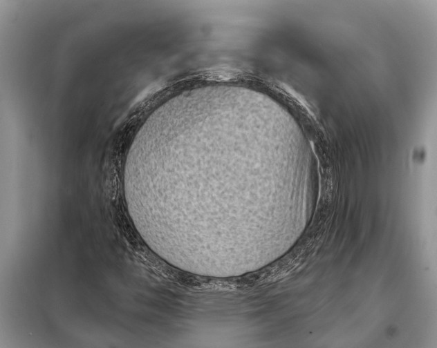 X0000097971446200804071045