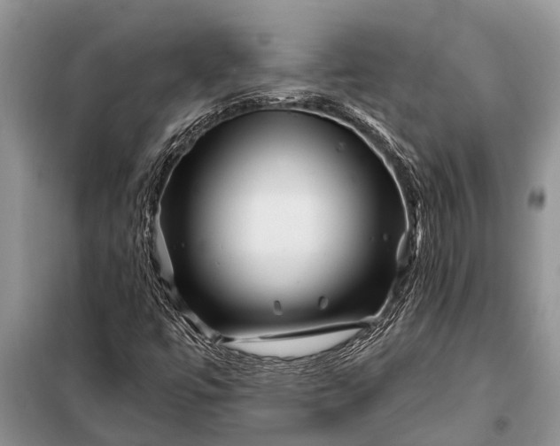 X0000097971447200804071045