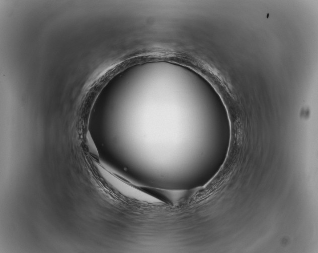 X0000097971448200804071045