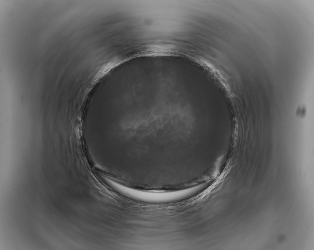 X0000097971449200804071045