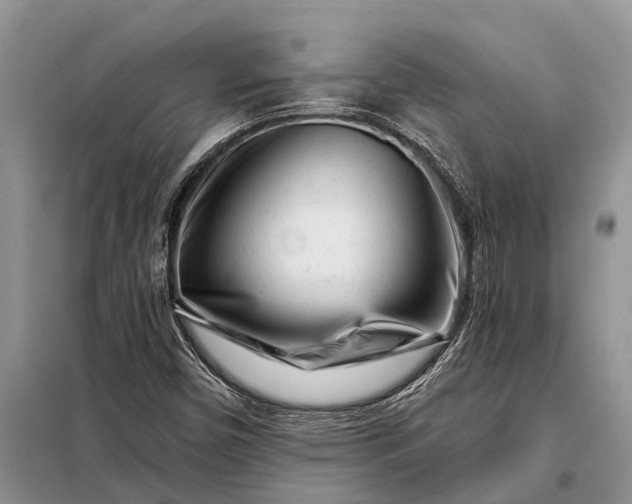 X0000097971450200804071045