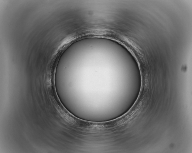 X0000097971451200804071045