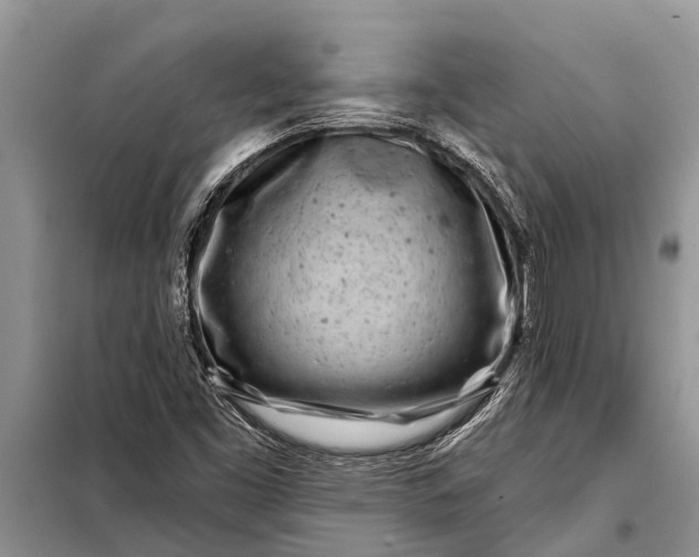 X0000097971453200804071045