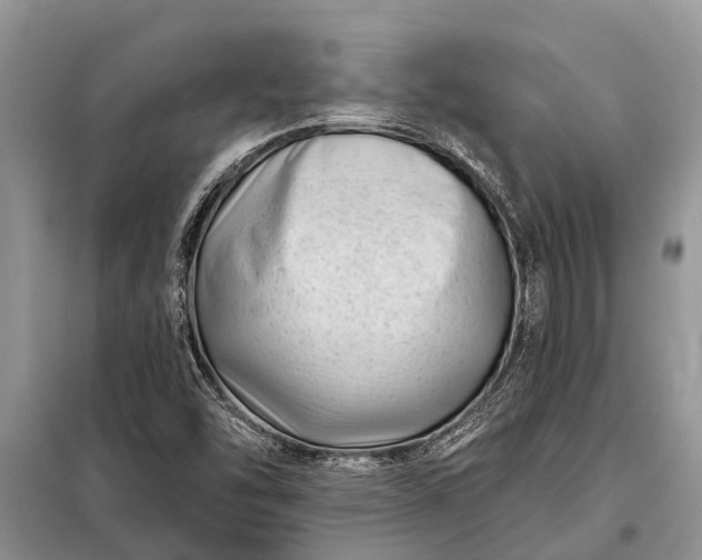 X0000097971454200804071045