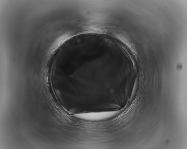 X0000097971455200804071045