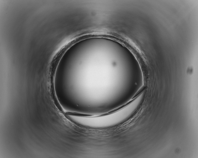 X0000097971456200804071045