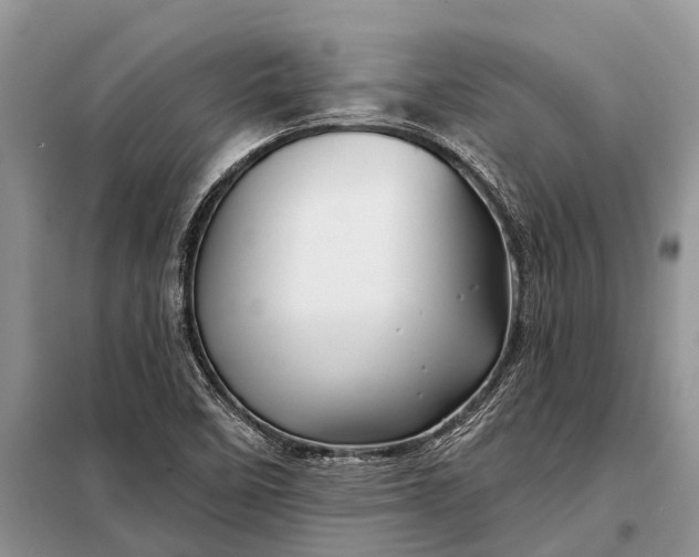 X0000097971458200804071045