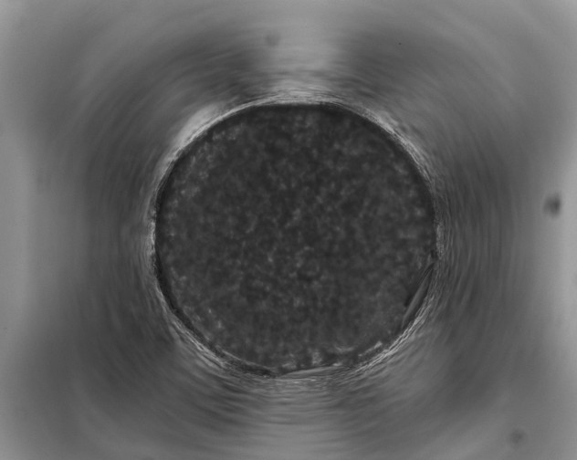 X0000097971459200804071045