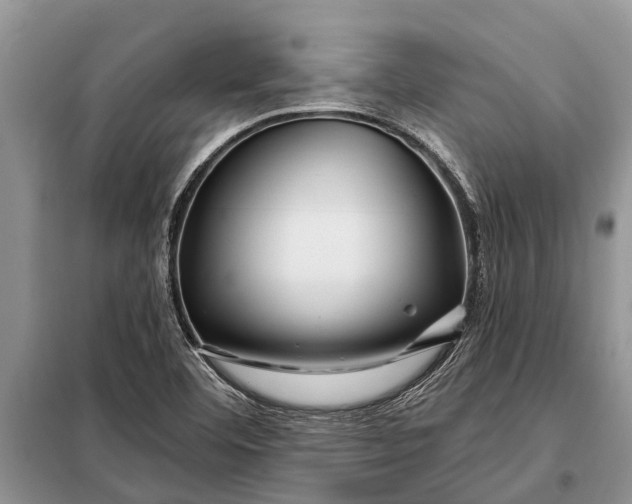 X0000097971460200804071045