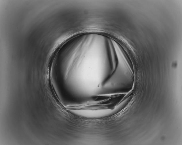 X0000097971461200804071045