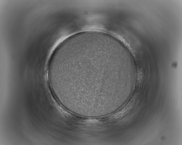 X0000097971462200804071045