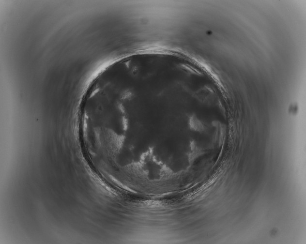 X0000097971463200804071045