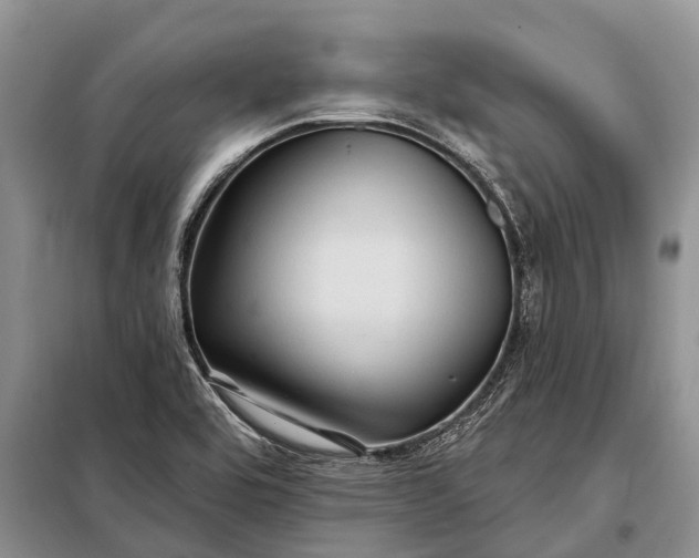 X0000097971464200804071045