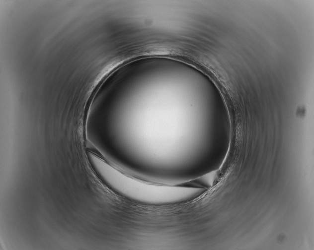 X0000097971465200804071045