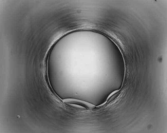 X0000097971467200804071045