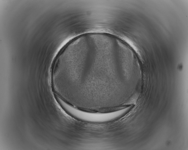 X0000097971468200804071045