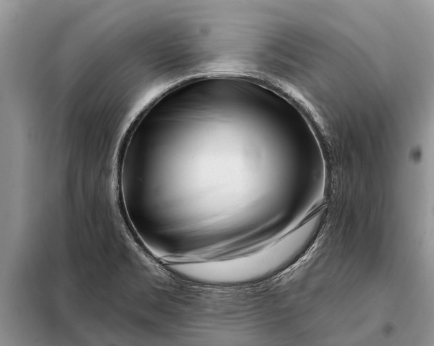 X0000097971469200804071045