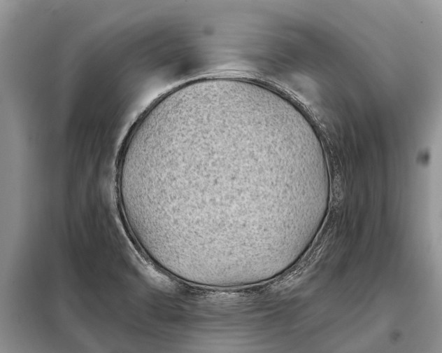 X0000097971470200804071045