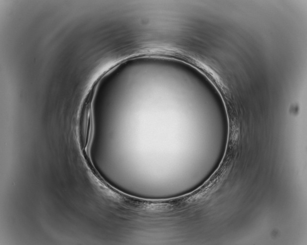 X0000097971471200804071045