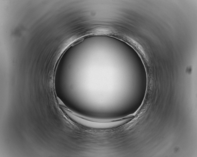 X0000097971473200804071045