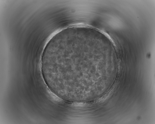 X0000097971474200804071045