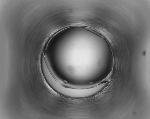 X0000097971476200804071045