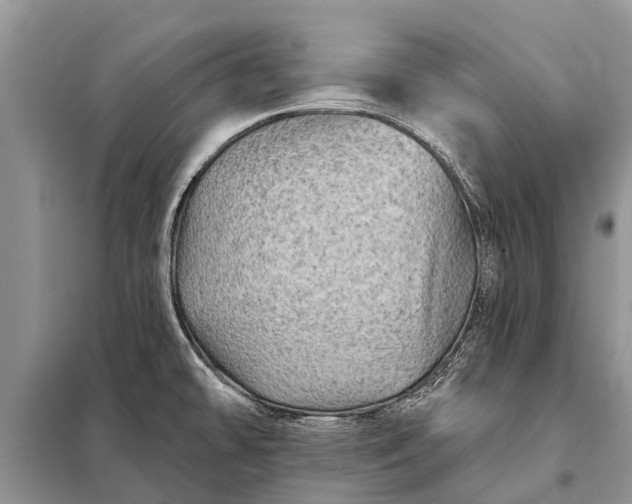 X0000097971478200804071045