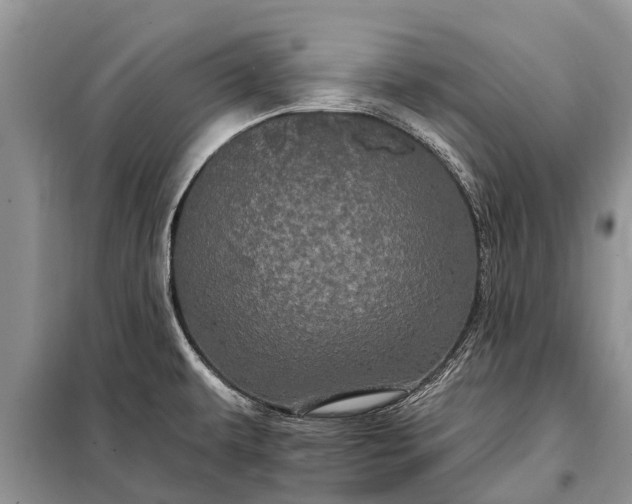 X0000097971479200804071045