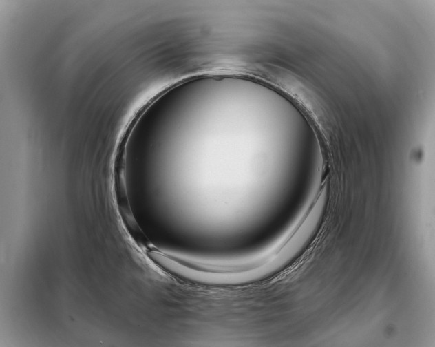 X0000097971480200804071045