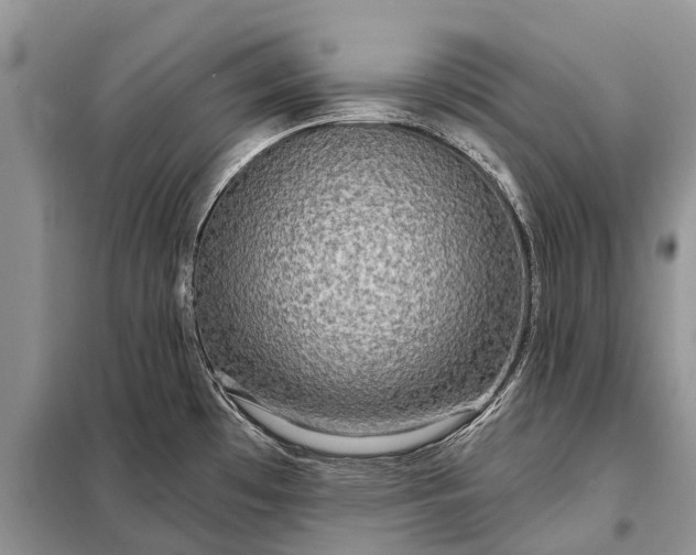 X0000097971481200804071045