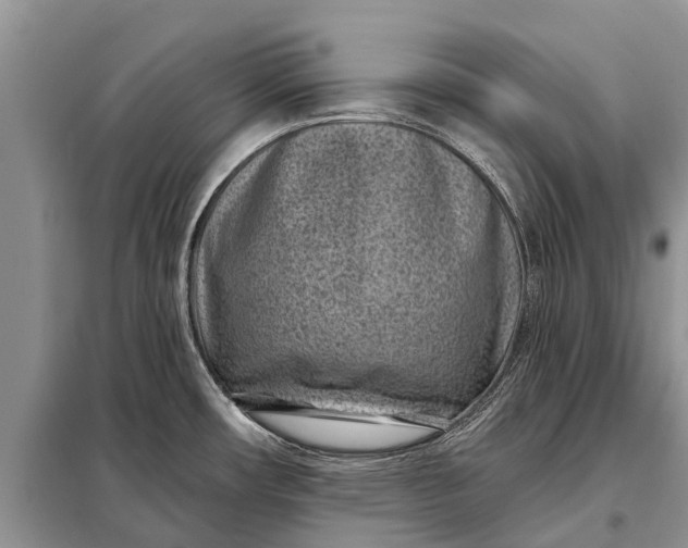 X0000097971482200804071045