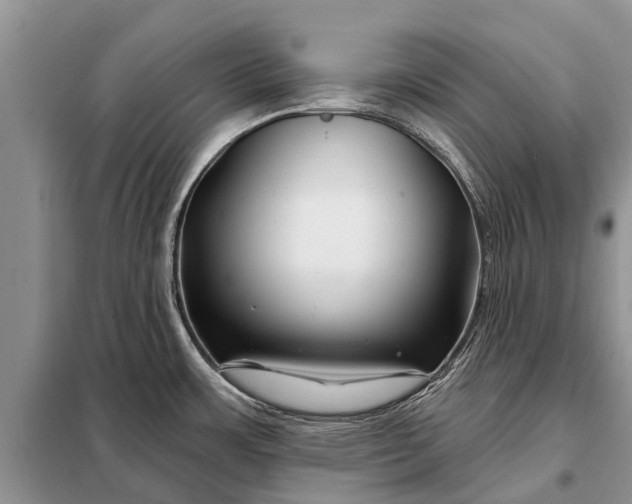 X0000097971483200804071045