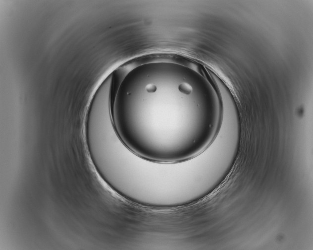 X0000097971484200804071045