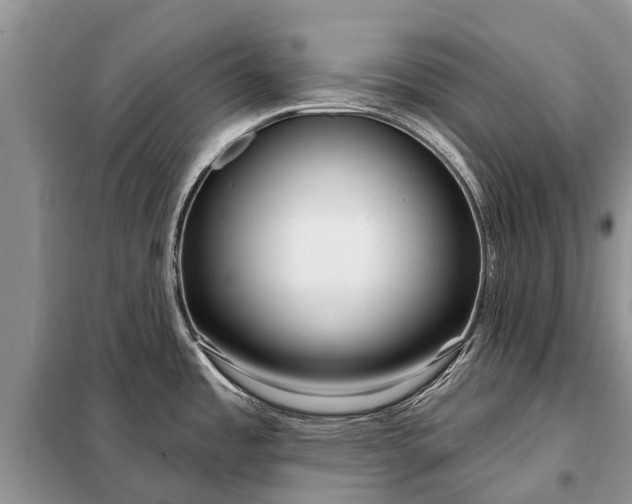 X0000097971485200804071045