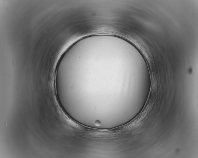 X0000097971486200804071044