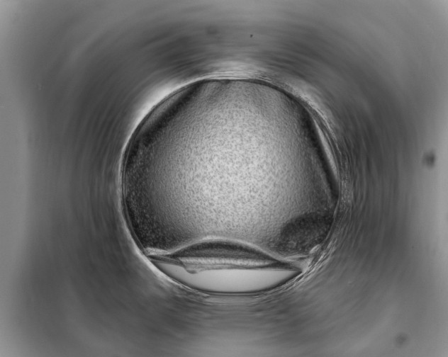 X0000097971487200804071044