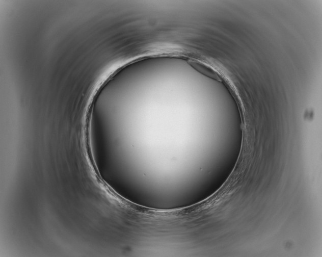 X0000097971488200804071044