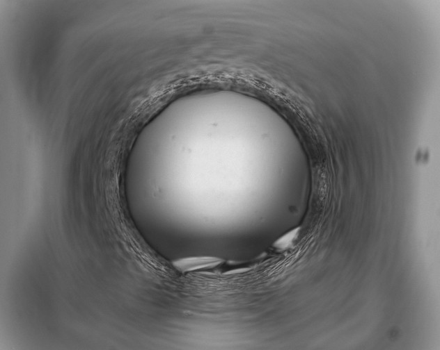 X0000097971489200804071044