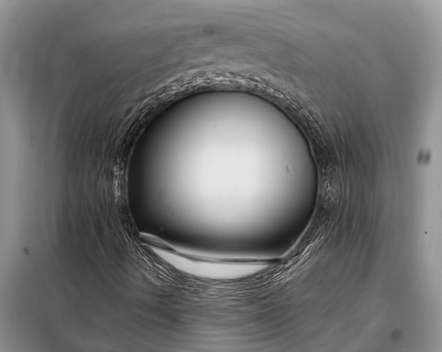 X0000097971490200804071044