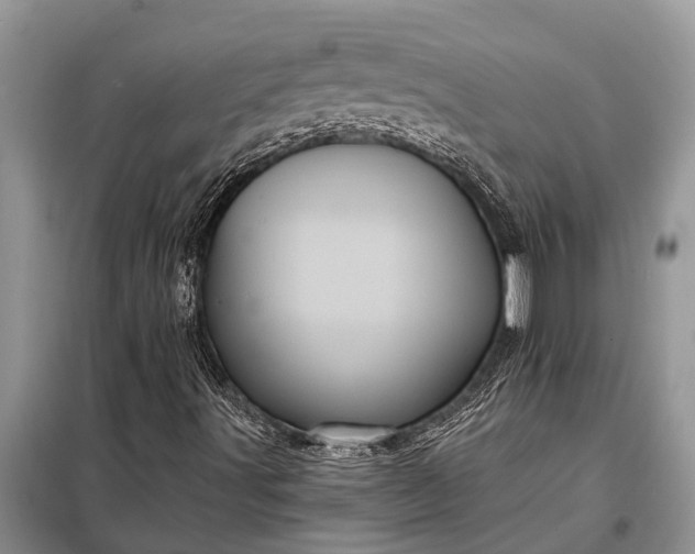 X0000097971491200804071044