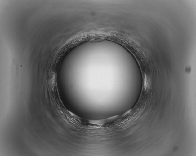 X0000097971492200804071044