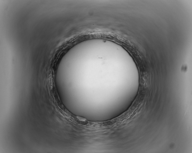 X0000097971493200804071044