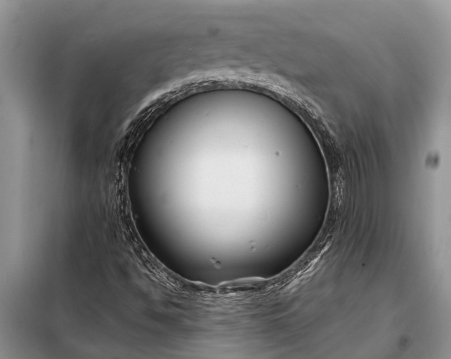 X0000097971494200804071044