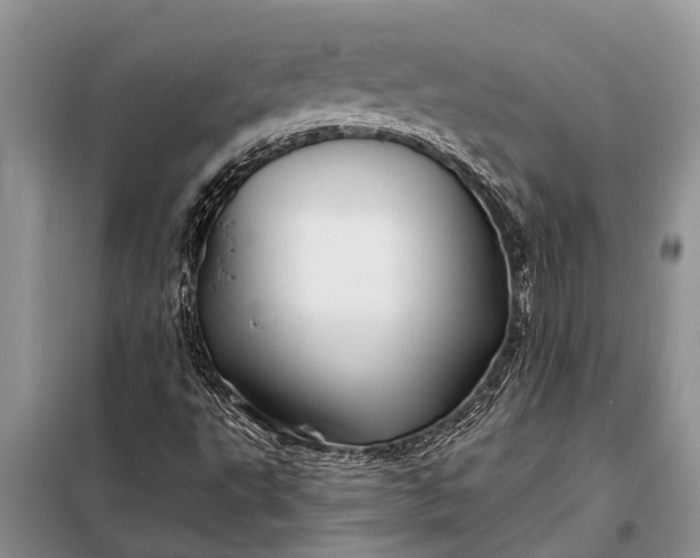 X0000097971495200804071044