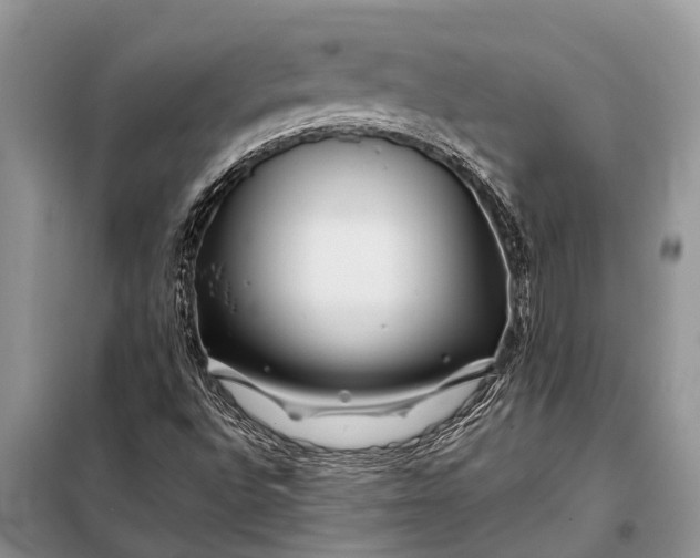 X0000097971496200804071044