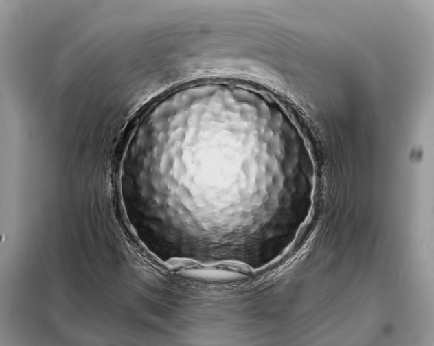 X0000097971497200804071044